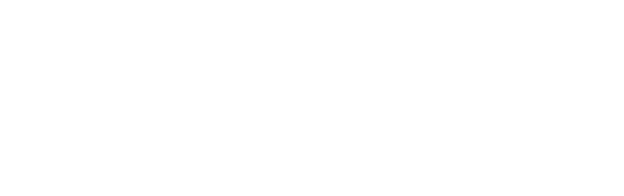 PTI WebTech